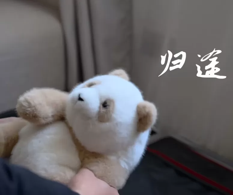 2024 Homecoming for Chinese New Year - Return 01