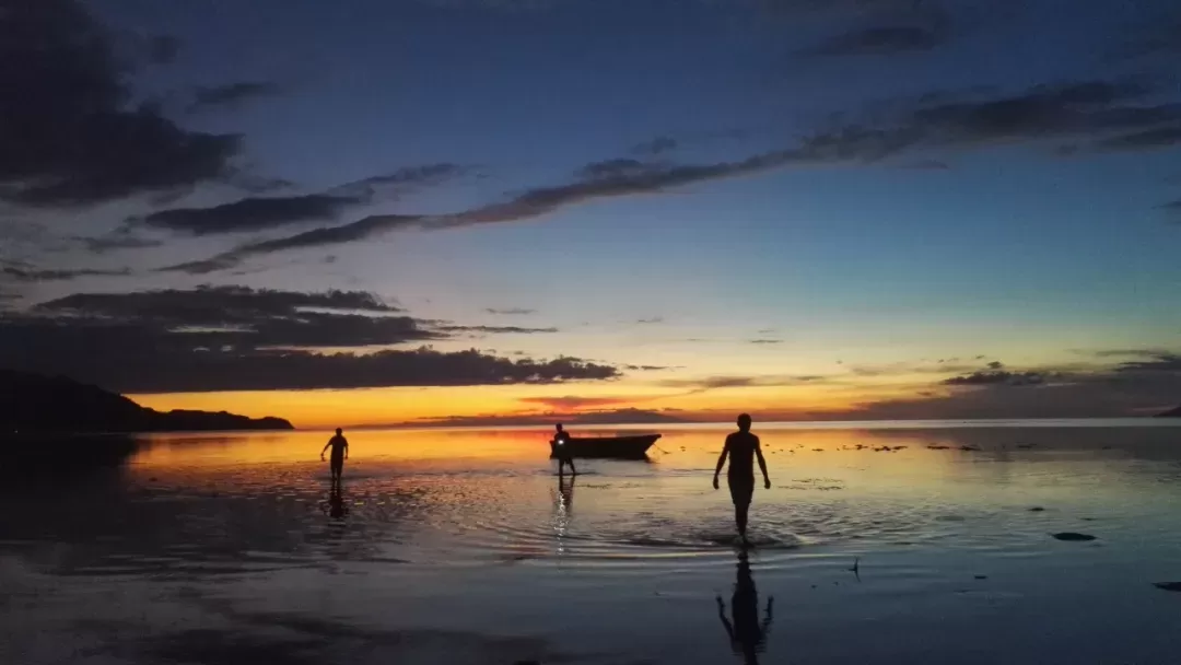 East Timor Project.png