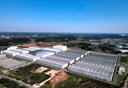 Bacchus Chengdu Project