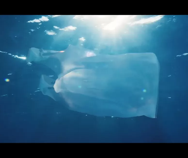 March 24 Hujiang - Earth Hour Short Film