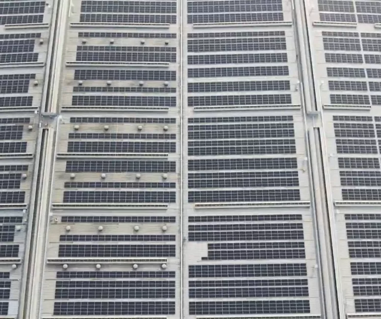 Shandong Factory Photovoltaic-Zhao Yi