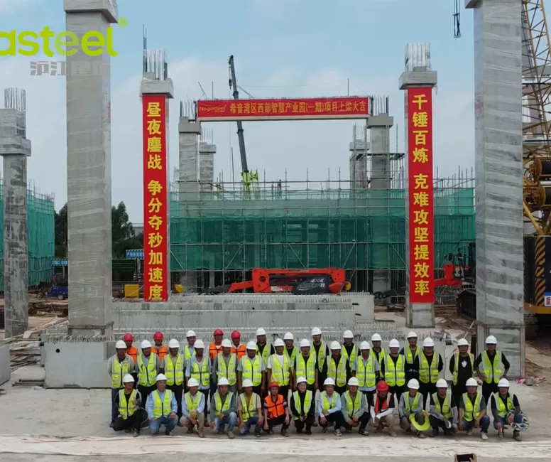 Zhaoqing Xiyin Project